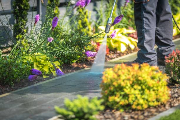 Best Residential Exterior Washing  in Poplar Cotton Center, CA